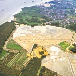 广州市什么展印刷