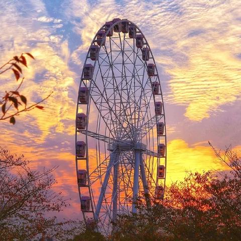 上海省包括哪些城市