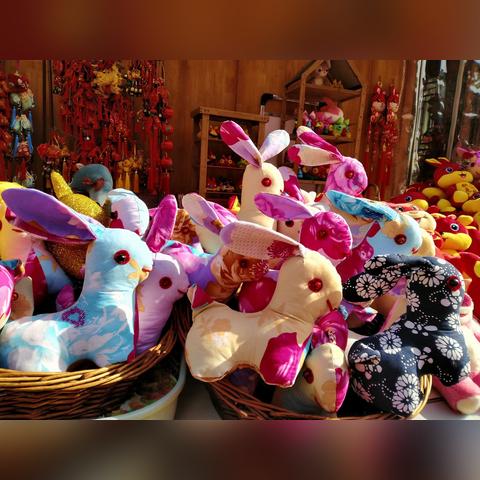 生肖虎女兔年运势如何呢(属虎女兔)