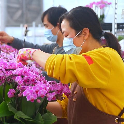 保定市鲜花定制店在哪里