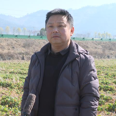 2016年英山今天气温的长尾关键词有什么