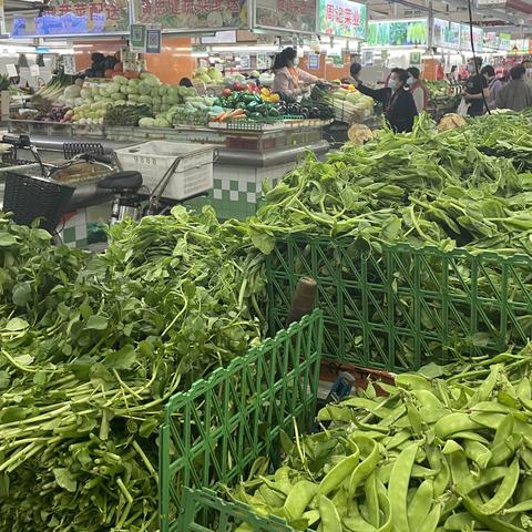 广州水果批发市场分几个区？