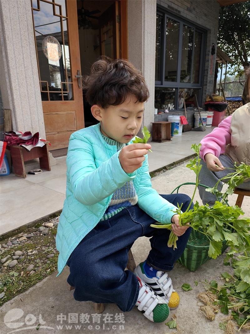 富春美食有什么（扬州早茶前三名）