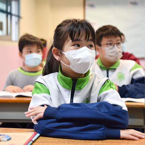 香港跨境司机收入多少