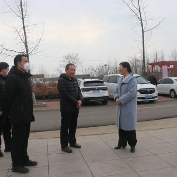 临沂市 旅游 赵杰的长尾关键词有什么