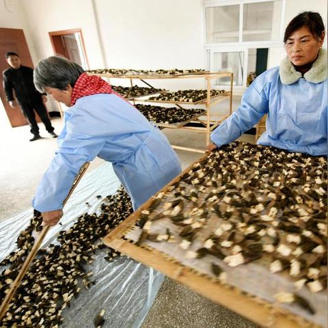 广州市番禺区德兴路是什么街道