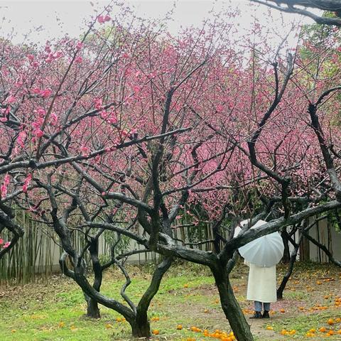 武汉市六出本部怎么样