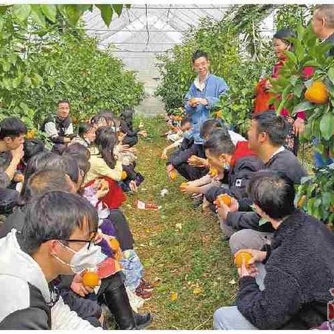 无锡市阳山镇哪里要拆迁