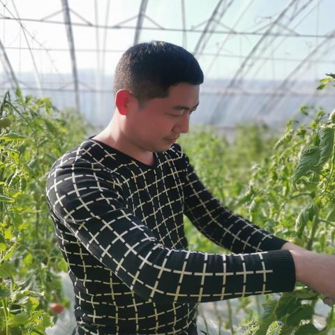 草莓蛋糕沈阳铁西相关长尾关键词有哪些