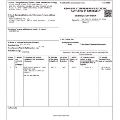 跨境大巴去新加坡多久