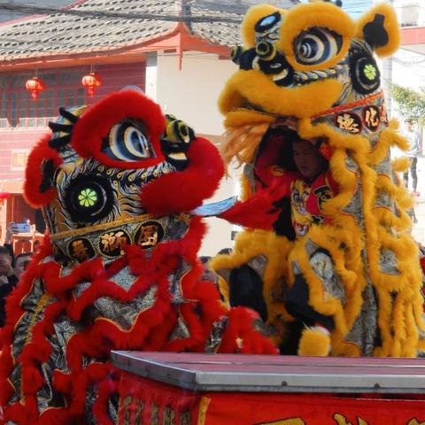 福建油神哪个最好