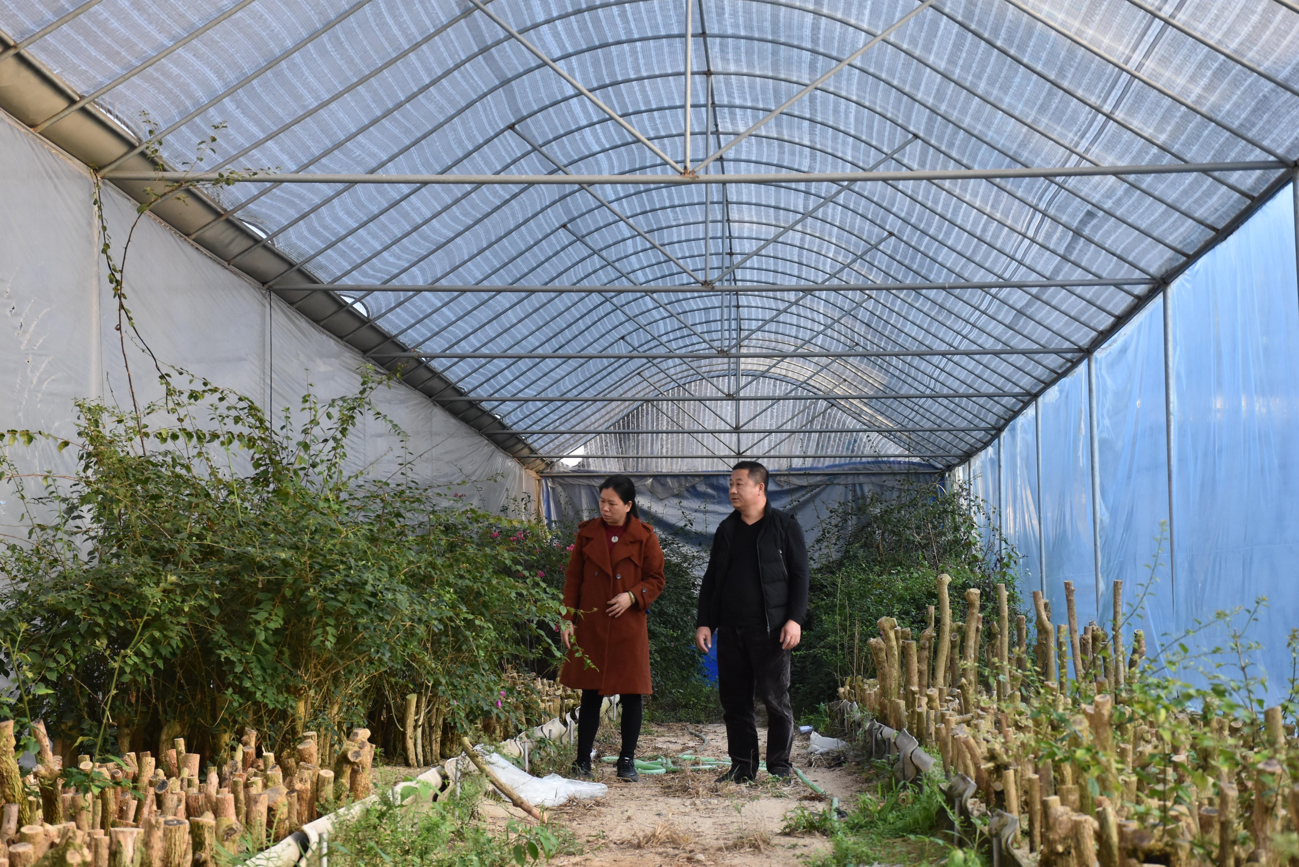 华安汰内有什么美食（华安有哪些乡镇）