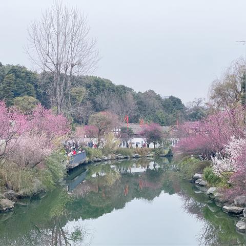 成都市区是在哪里坐车