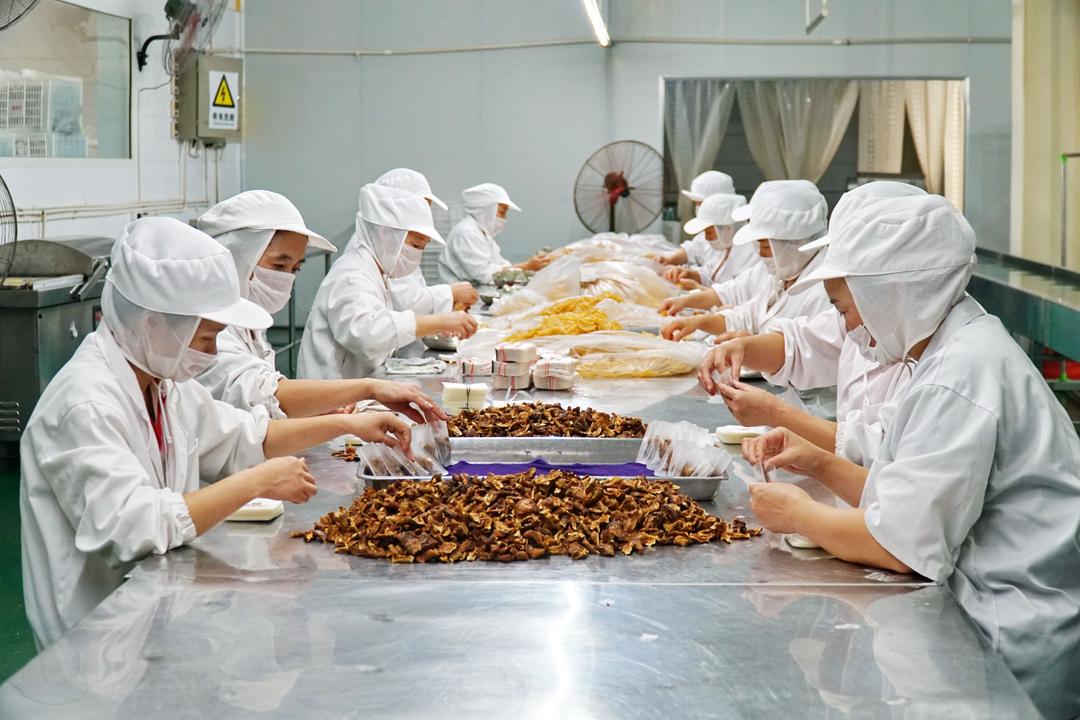品美食叫什么（乐山美食的文案）