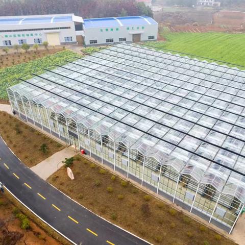 湖南十大工厂排名？