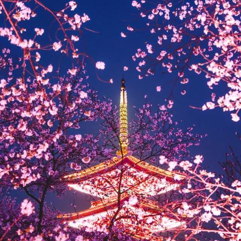 武汉市每年什么时候冷