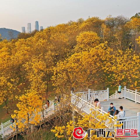 【南宁今日黄金价格】2025年4月25日南宁黄金价格是多少
