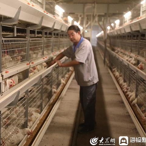 临沂市哪里有农民养殖场