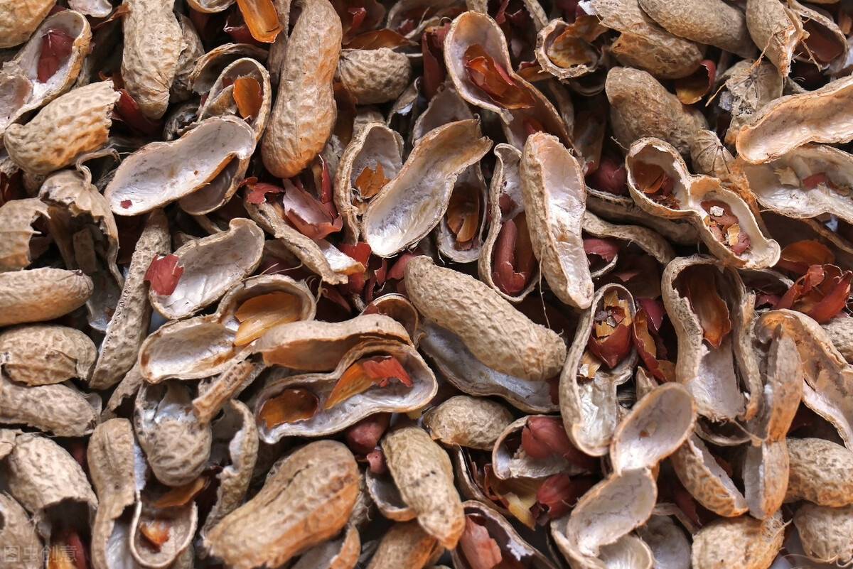 花生壳是果皮还果实 豌豆的果皮种皮和胚