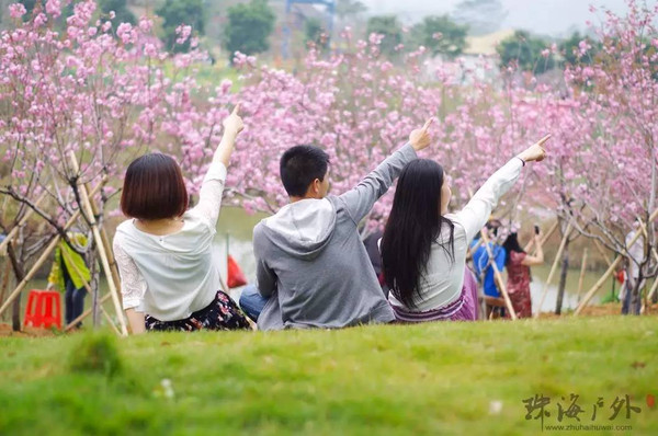 旅居中国十年后发现：这两座“春城”，才是理想生活的模样插图5