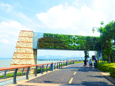 深圳湾公园Citywalk路线-深圳-City walk圈子-City Walk-成树文创