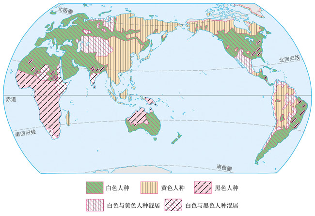 世界人种分布图（一文详解3大人种的特征）