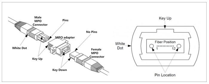 MPO Jumper Insertion Loss Test