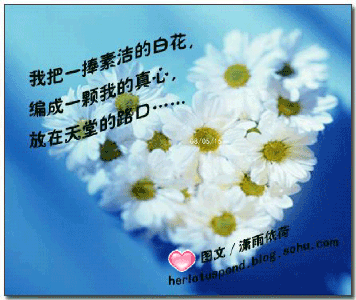 梦见逝去亲人，深渊中的救赎，一场心灵的对话与释放