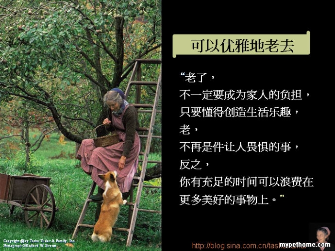 梦回往昔，整理逝去亲人的衣衫——一场关于记忆、爱与告别的梦境解析