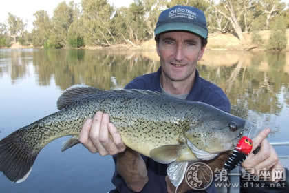 梦境解析，面对巨鱼威胁，自我救赎的勇气——梦见一条大鱼要吃人我把鱼杀死了