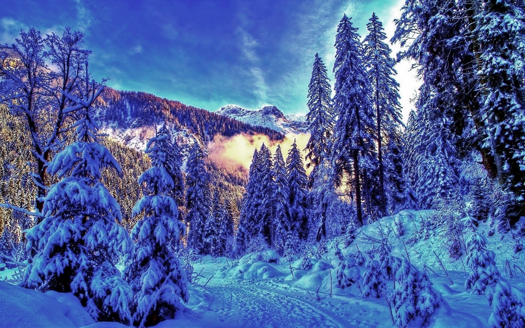 高清晰冬季唯美的雪壁纸下载下载