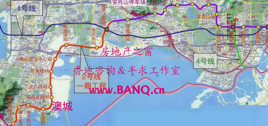 图片[13]-深圳湾公园Citywalk路线-深圳-City walk圈子-City Walk-成树文创