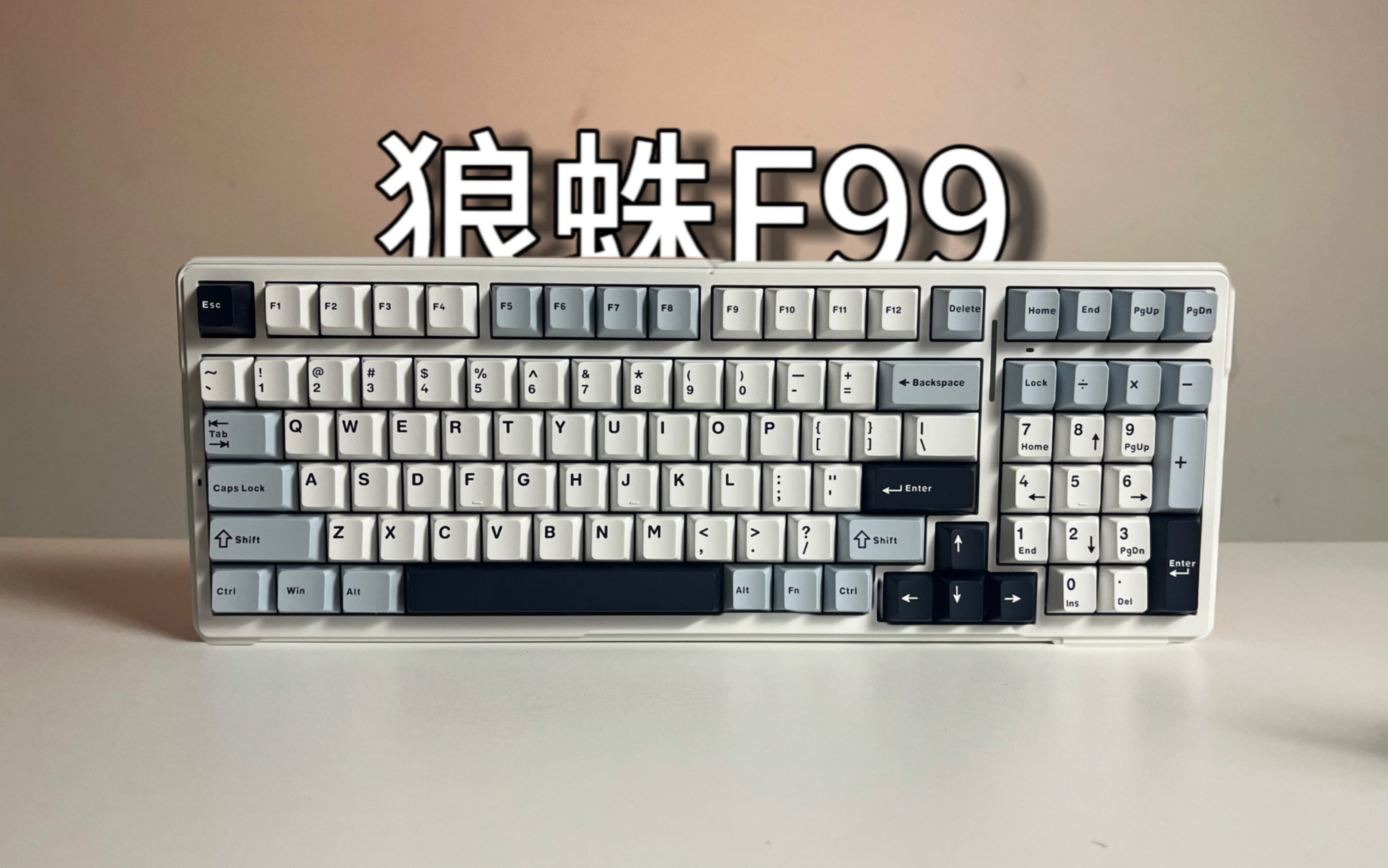 狼蛛F99