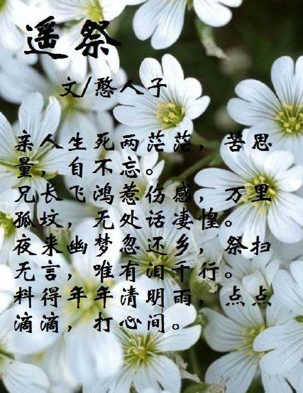 逝去的哀思与重逢的慰藉，梦见参加别人葬礼却遇见已故亲人，寓意何在？