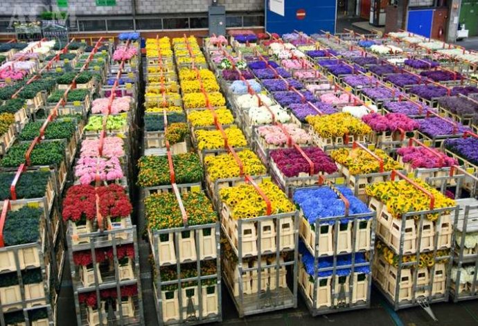 Dounan Flower Market