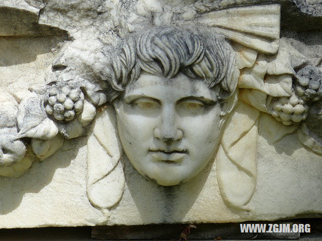 梦见自己牙掉了还流血了在此说破，解析梦境背后的深层含义与心理暗示