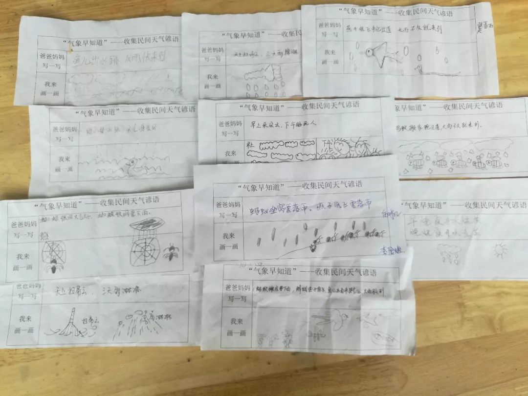 小记者调查表怎么填写（燕都校园小记者骗局）