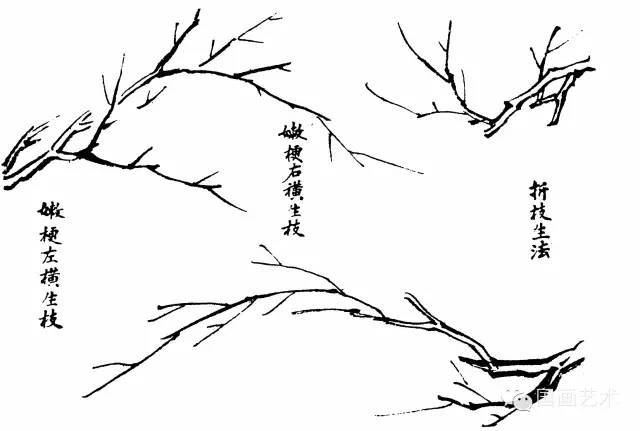 言之画
