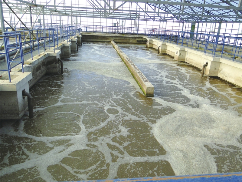 污水處理廠生物泡沫的危害與措施