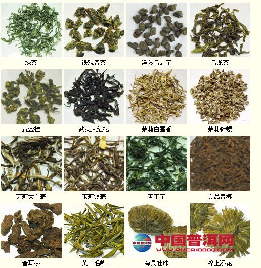 茶有多少个品种什么茶最名贵