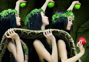 梦境迷踪，解读梦见三条水中的金色蛇——吉凶交织的神秘寓言