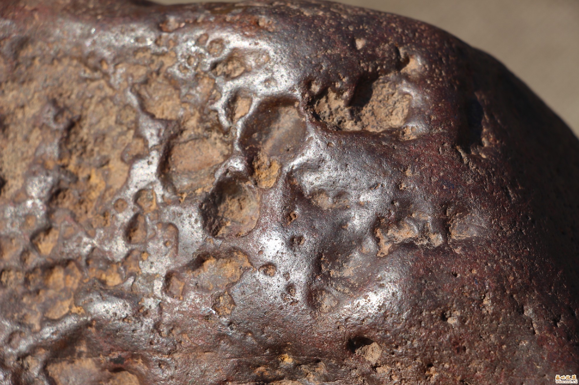 石铁陨石鉴定方法及特征图片(石铁陨石中的中铁陨石)_陨石_文化艺术