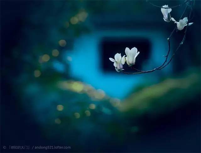 梦境之谜，鱼之重生——解析梦见好多鱼快要死了，倒了水又活了的深层含义