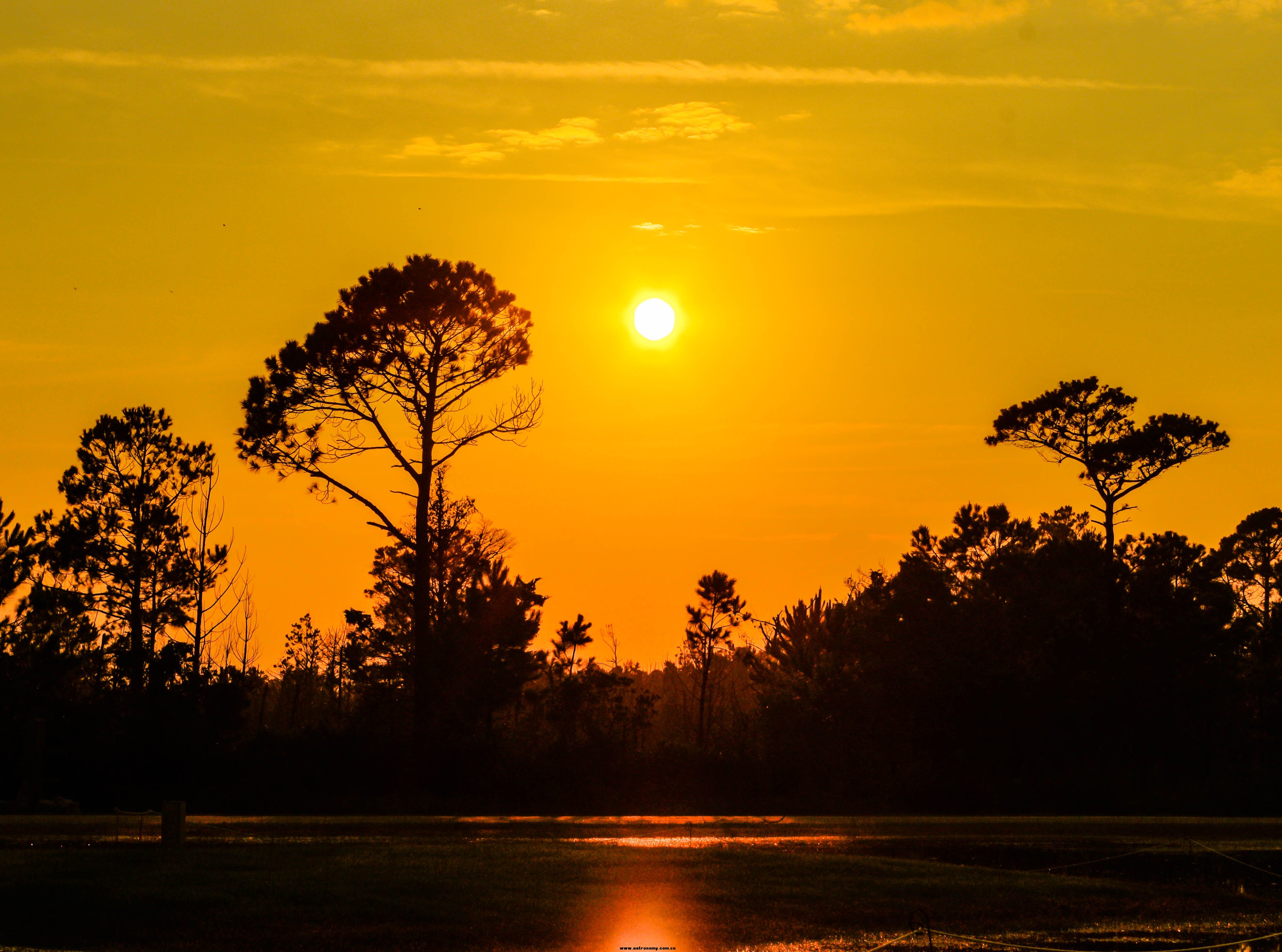 ad4955e15d51de223e301ed16d710ffa