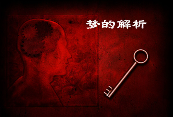 老婆昨晚梦见蛇，解读梦境中的隐秘寓意与心理启示