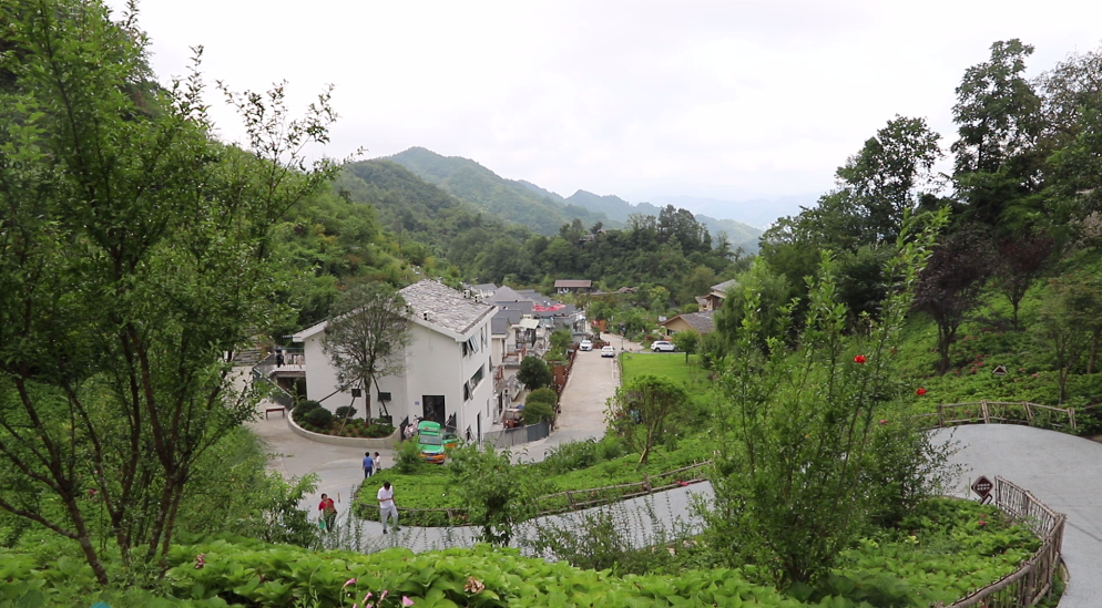 花婆婆精品民宿