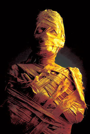 e19d6a4ff2a7e2c401e8fd32f122630b