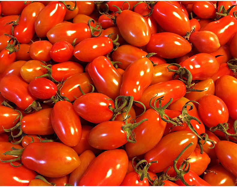 e7bf368655c14c81a4341bcad384b1ec