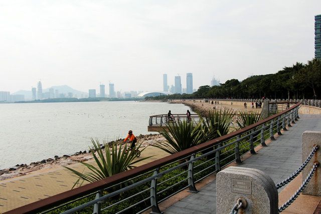 图片[2]-深圳湾公园Citywalk路线-深圳-City walk圈子-City Walk-成树文创