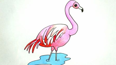 火烈鸟 简笔画